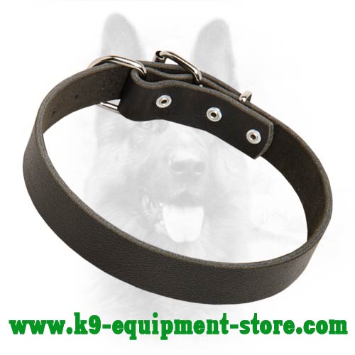 K9 Dog Collar Leather With Rust Resistant Hardware