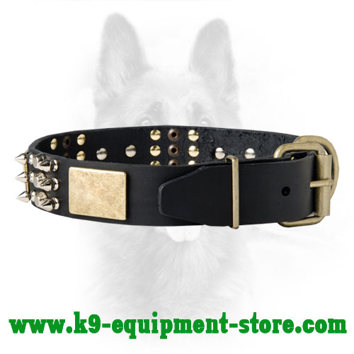 Dog Collar for Canine with Durable Brass Hardware 