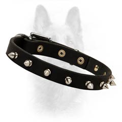 Leather Dog Collar With Rust Resistant Hardware