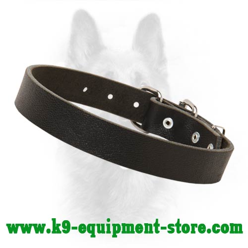 K9 Dog Collar Leather for Obedience Training