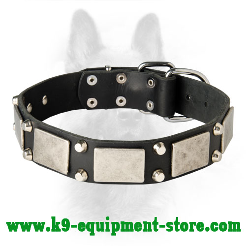 K9 Leather Dog Collar Studded and Plated for Comfy Walking