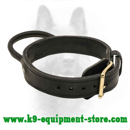 leather collar with handle