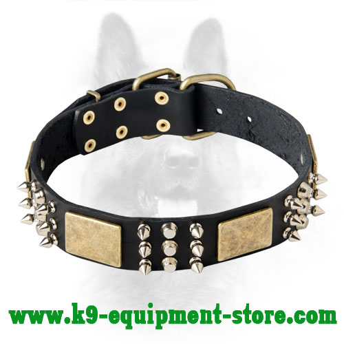 K9 Leather Dog Collar with Rust-proof Fittings