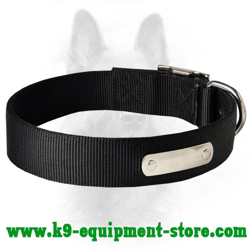 Canine Nylon Collar with Iderntification Tag