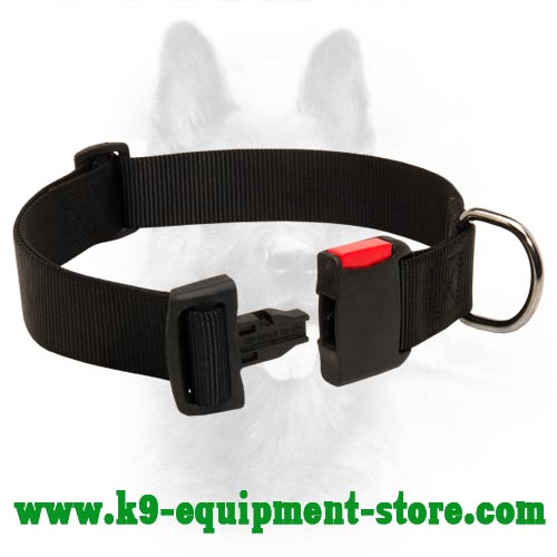 Canine Nylon Collar with Easy in Use Buckle