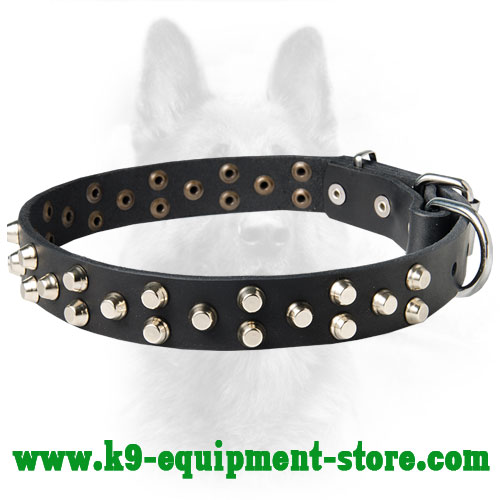 Leather Dog Collar for Canine with Riveted Studs