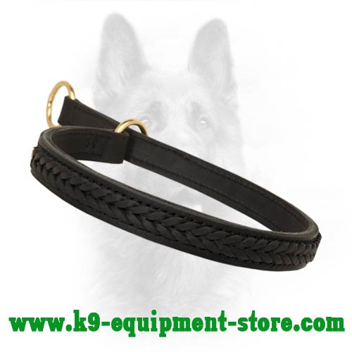 Leather Choke Dog Collar for Canine with Braids