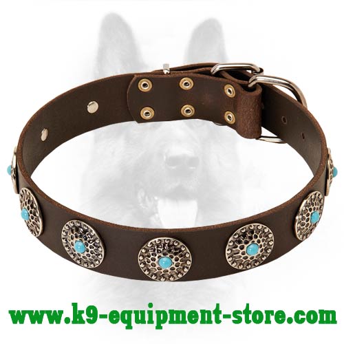 Leather Canine Dog Collar with Nickel Circles and Stones