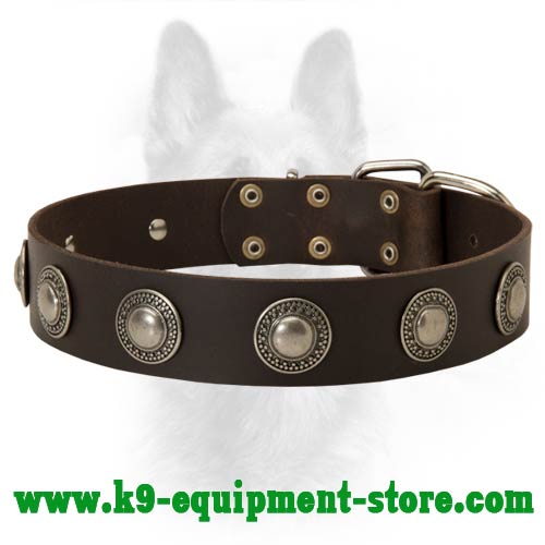 Leather Canine Dog Collar with Nickel Circles