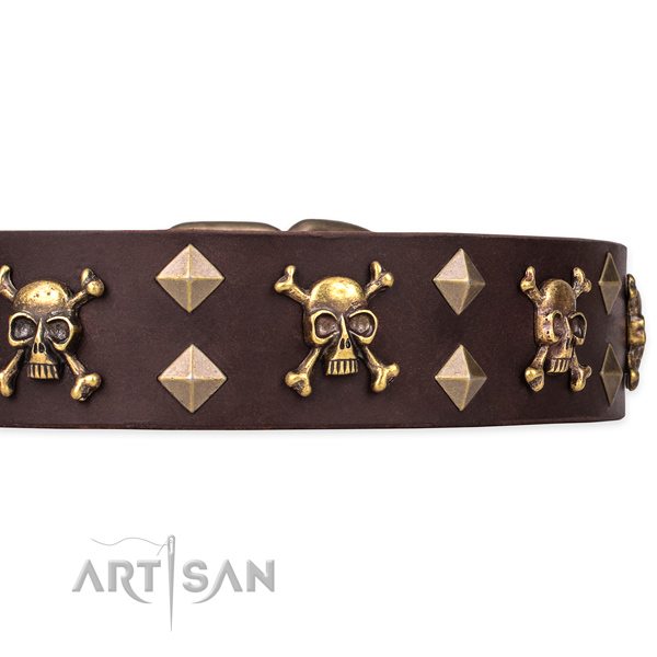 Best quality leather dog collar for stylish walking