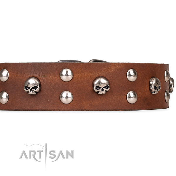 Genuine leather dog collar with smoothed surface