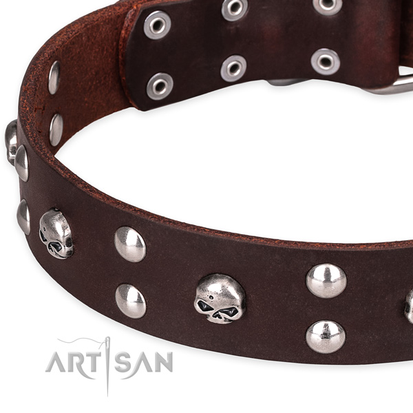 Daily leather dog collar with refined embellishments