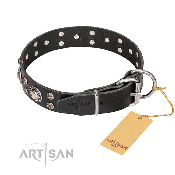 Full grain genuine leather dog collar with thoroughly polished surface