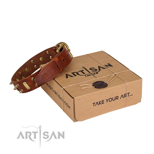 Day-to-day leather dog collar with stunning embellishments