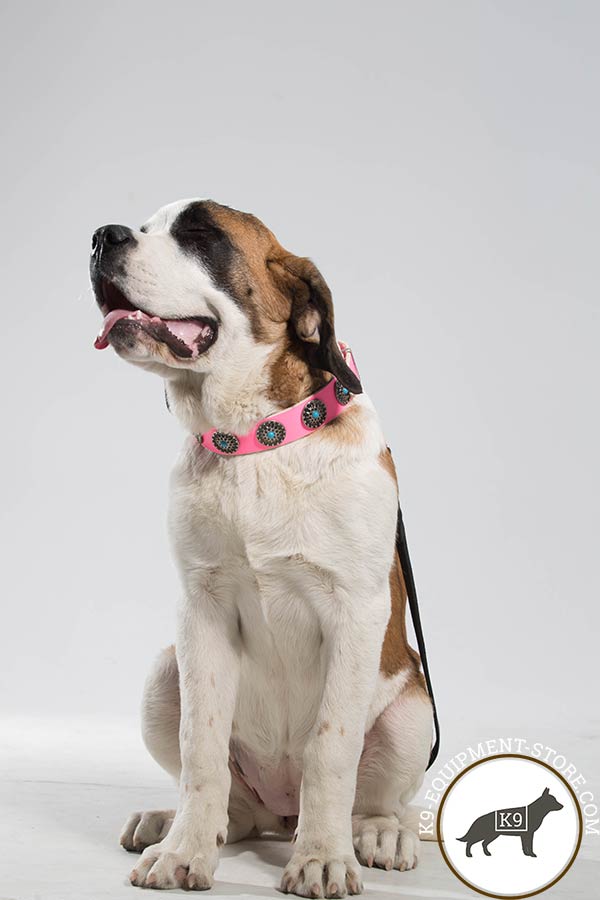 Moscow Watchdog high-quality leather collar decorated with circles