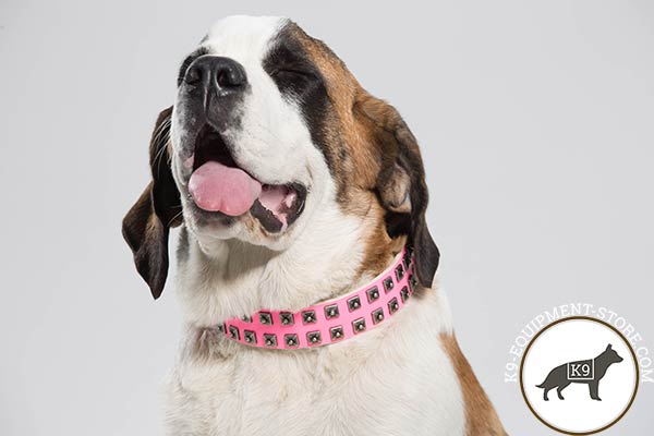Fashionable pink Moscow Watchdog genuine leather collar