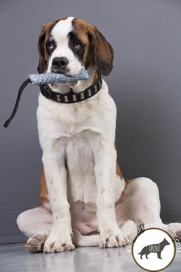 Manually adorned dog collar