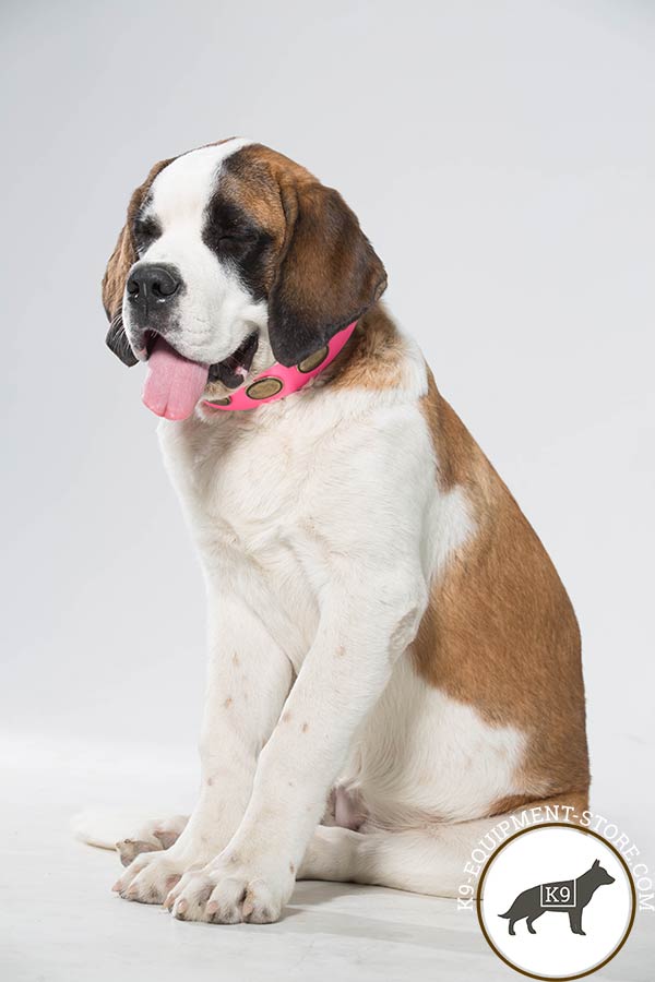 Moscow Watchdog collar