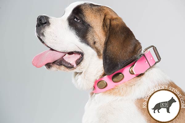 Moscow Watchdog leather collar with oval plates