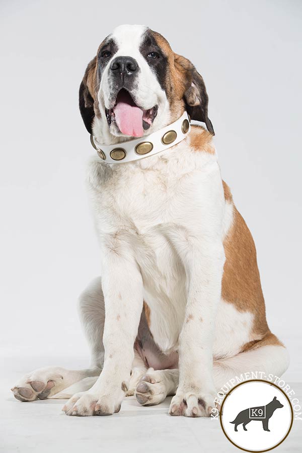 Moscow Watchdog collar in white