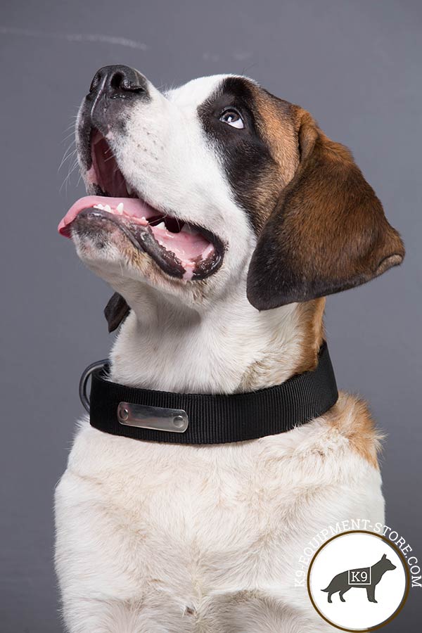 Moscow Watchdog collar with ID Tag for identification