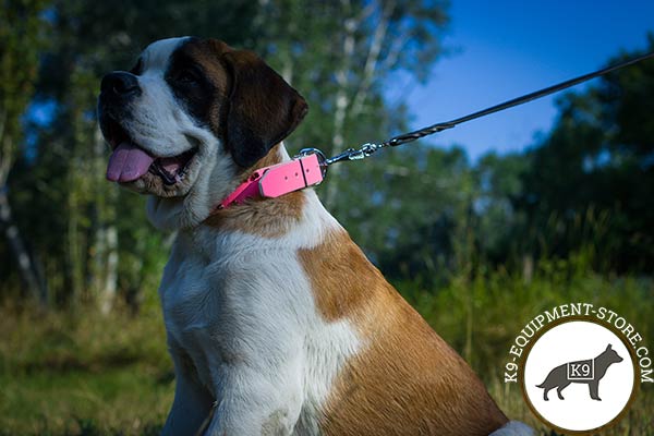 Moscow-Watchdog pink leather collar of classic design with spikes for walking in style