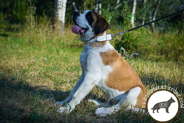 Moscow-Watchdog white leather collar with reliable nickel plated hardware for perfect control