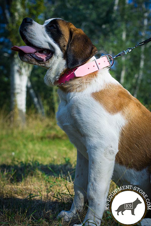 Moscow-Watchdog pink leather collar with corrosion resistant nickel plated hardware for daily activity