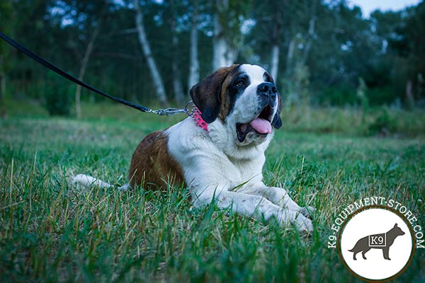 Moscow-Watchdog pink leather collar with corrosion resistant fittings for daily walks