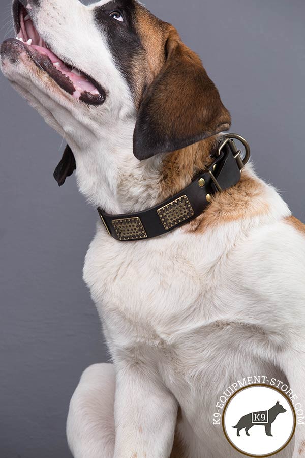 Moscow-Watchdog black leather collar with rust-proof hardware for professional use