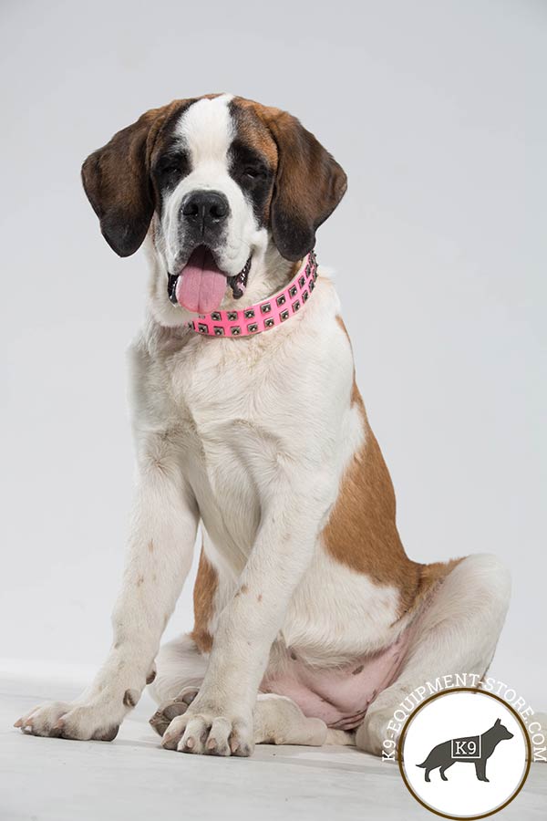 Moscow-Watchdog pink leather collar of high quality with traditional buckle for daily walks