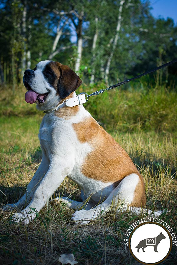 Moscow-Watchdog white leather collar with rust-resistant fittings for any activity