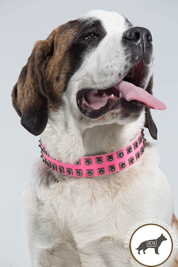 Moscow-Watchdog pink leather collar with duly riveted studs for walking