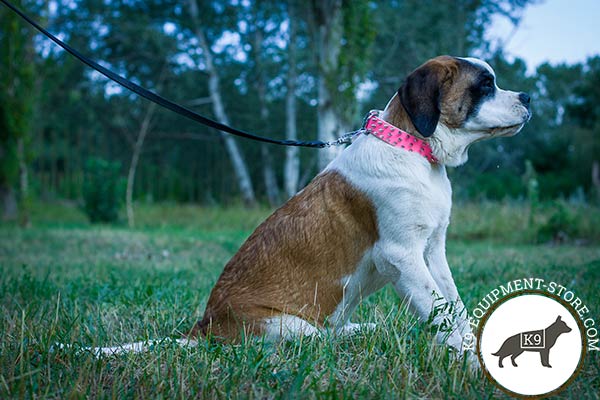 Moscow-Watchdog pink leather collar with rustless fittings for walking