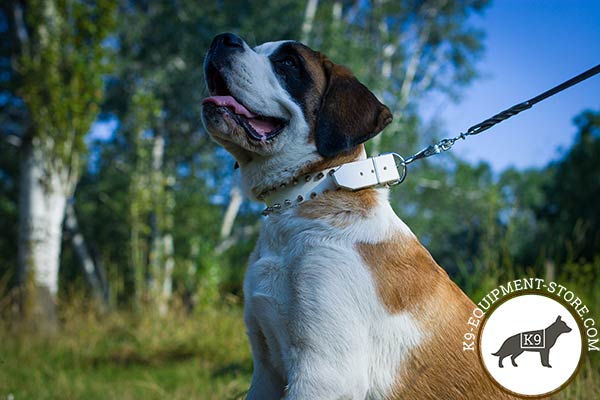Moscow-Watchdog white leather collar of genuine materials with traditional buckle for basic training