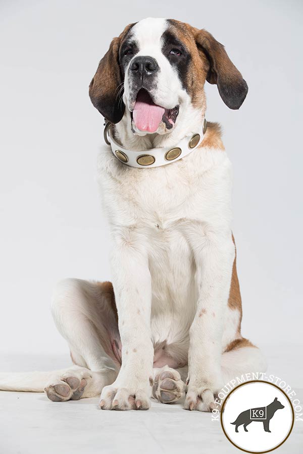 Moscow Watchdog white leather collar of lightweight material with d-ring for leash attachment for daily walks