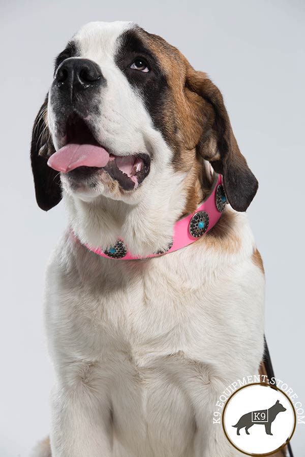 Moscow Watchdog pink leather collar with non-corrosive studs for walking