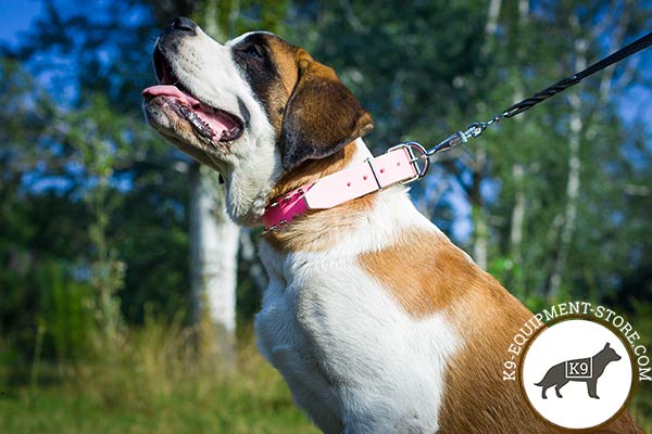 Moscow-Watchdog pink leather collar of lightweight material with spikes for better comfort