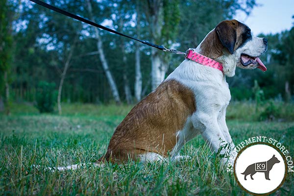 Moscow-Watchdog pink leather collar with corrosion resistant spikes for walking