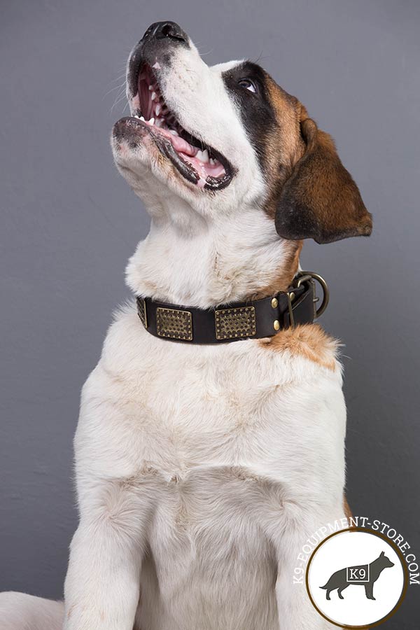 Moscow-Watchdog black leather collar of high quality with traditional buckle for any activity
