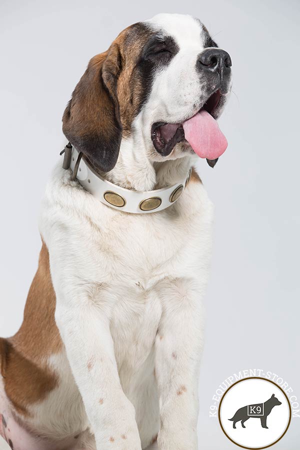 Moscow Watchdog white leather collar with rustless fittings for professional use