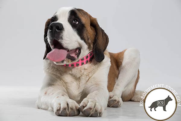 Moscow-Watchdog pink leather collar with strong hardware for quality control