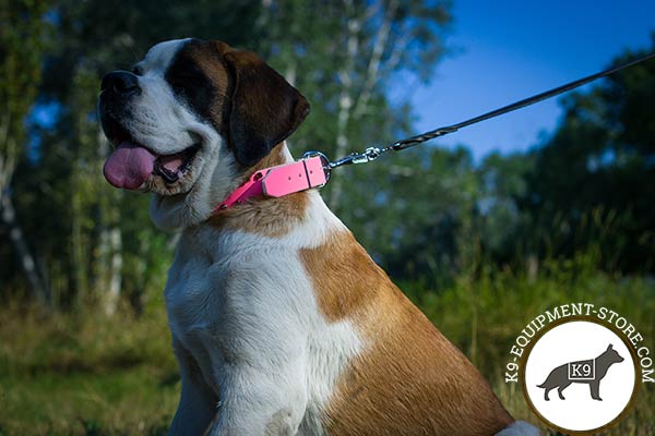 Moscow-Watchdog pink leather collar with non-corrosive spikes for improved control