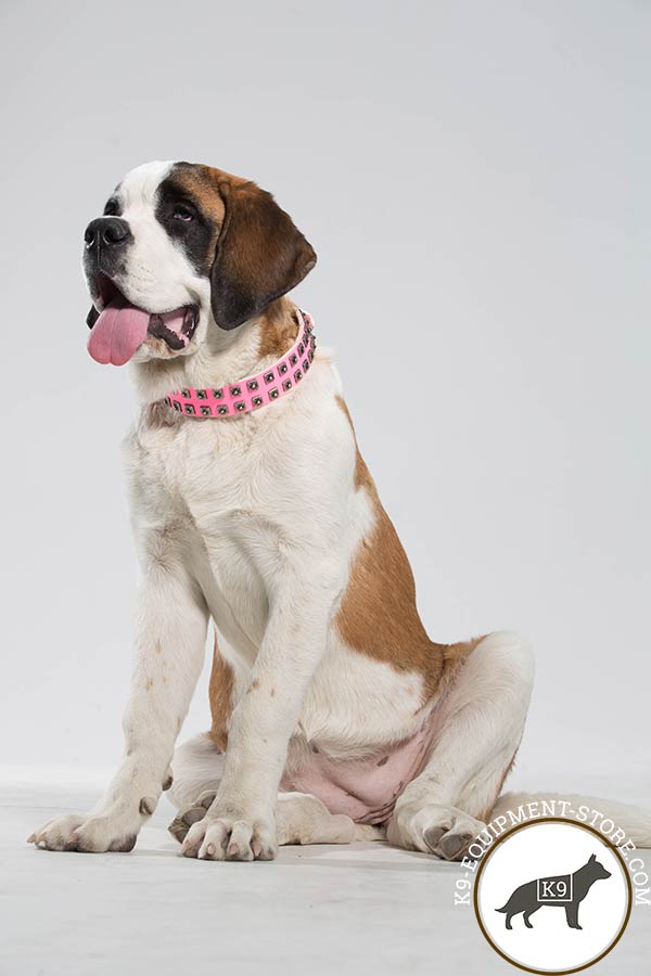 Moscow-Watchdog pink leather collar with rustless studs for daily activity
