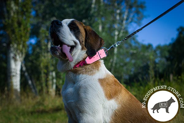 Moscow-Watchdog pink leather collar with rust-free hardware for improved control