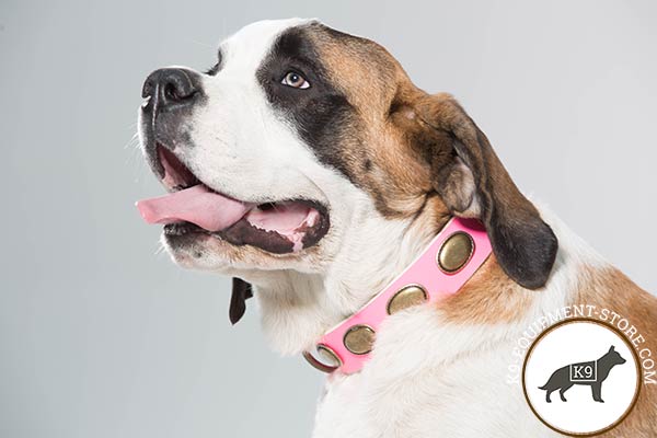 Moscow Watchdog pink leather collar with non-corrosive hardware for daily walks