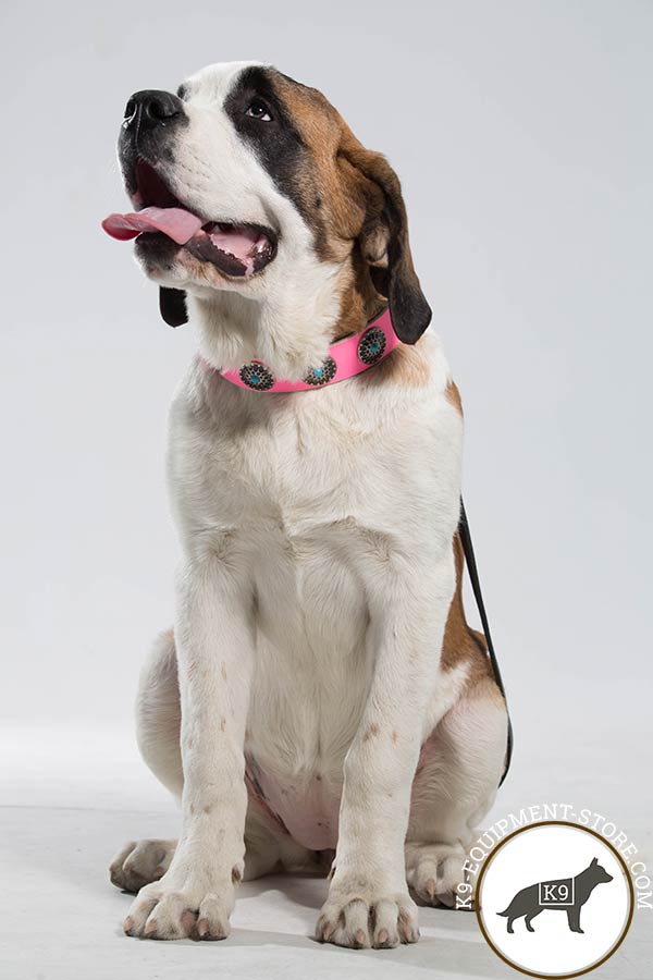 Moscow Watchdog pink leather collar with rust-resistant hardware for stylish walks