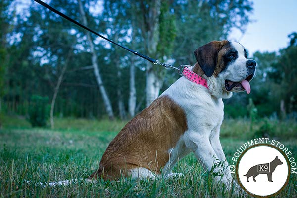 Moscow-Watchdog pink leather collar with rust-free fittings for any activity
