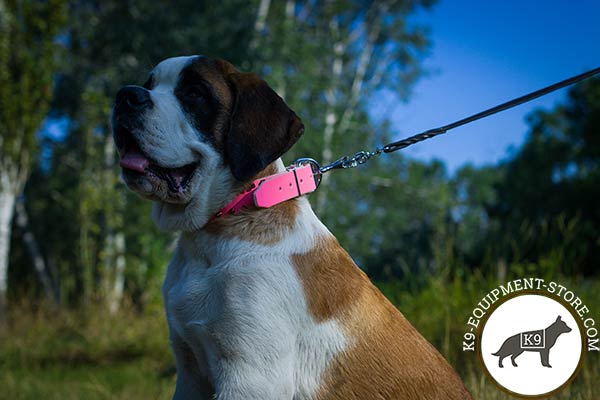 Moscow-Watchdog pink leather collar easy-to-adjust with traditional buckle for any activity