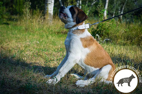 Moscow-Watchdog white leather collar painted with d-ring for leash attachment for quality control